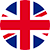 Scarica curriculum in inglese